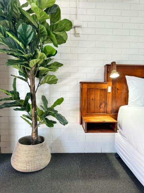 Pacific Sun Bargara Motel Екстериор снимка